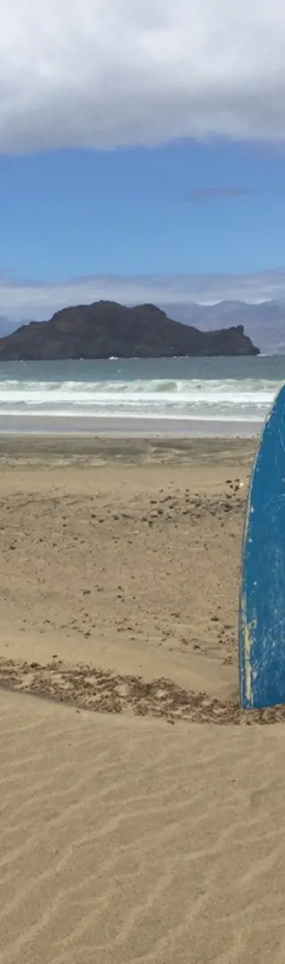 Your wave is waiting!